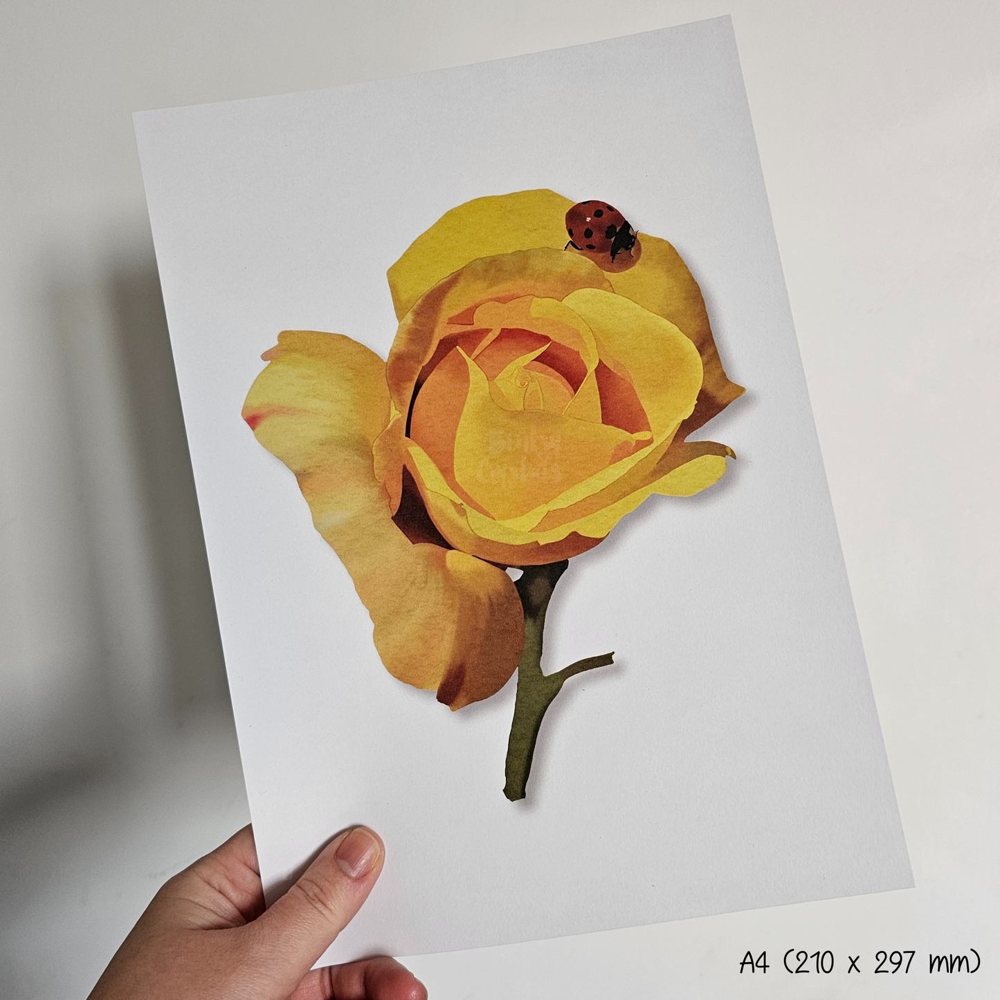 Chinatown Rose Watercolour Poster